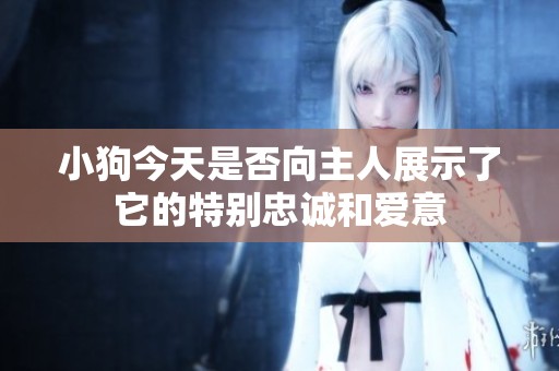 小狗今天是否向主人展示了它的特别忠诚和爱意