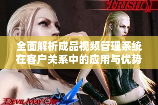 全面解析成品视频管理系统在客户关系中的应用与优势