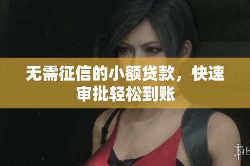 无需征信的小额贷款，快速审批轻松到账