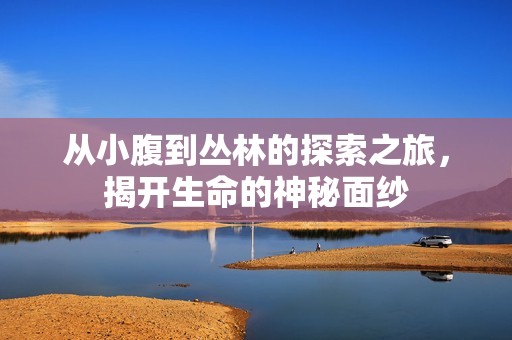 从小腹到丛林的探索之旅，揭开生命的神秘面纱