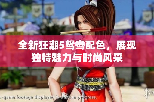 全新狂潮5鸳鸯配色，展现独特魅力与时尚风采