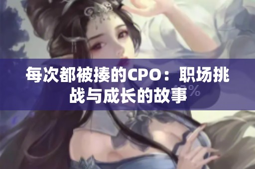 每次都被揍的CPO：职场挑战与成长的故事