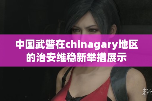 中国武警在chinagary地区的治安维稳新举措展示