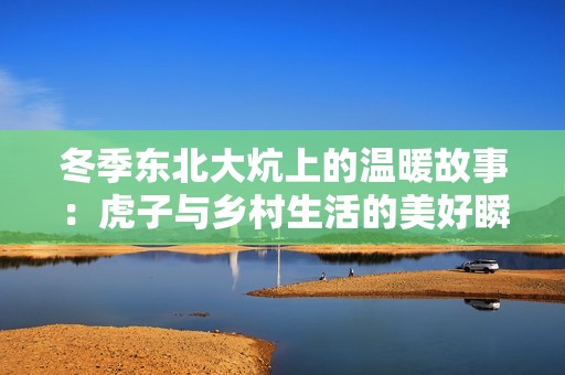 冬季东北大炕上的温暖故事：虎子与乡村生活的美好瞬间