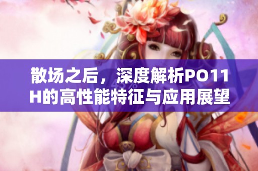 散场之后，深度解析PO11H的高性能特征与应用展望