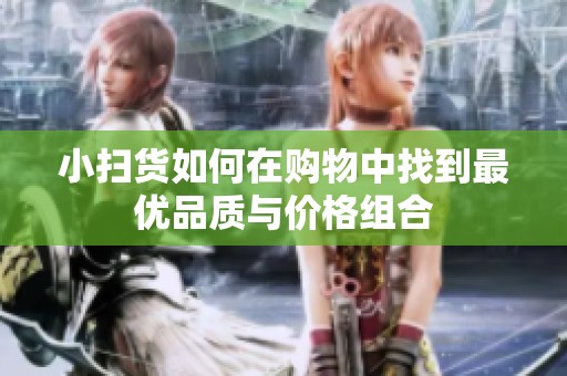 小扫货如何在购物中找到最优品质与价格组合