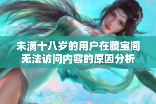 未满十八岁的用户在藏宝阁无法访问内容的原因分析