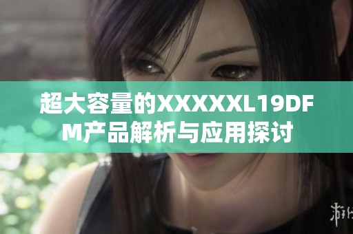 超大容量的XXXXXL19DFM产品解析与应用探讨