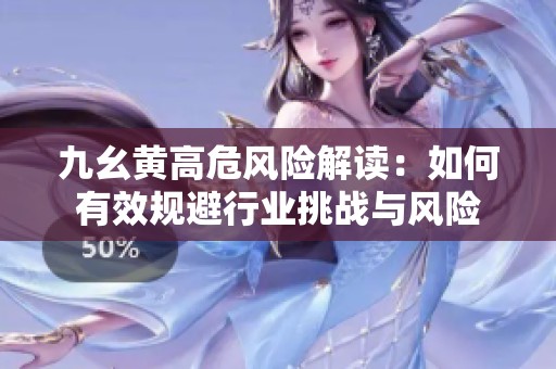 九幺黄高危风险解读：如何有效规避行业挑战与风险