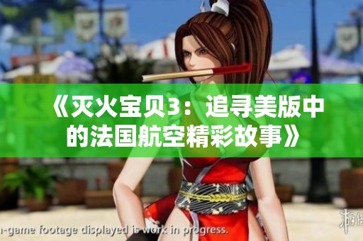 《灭火宝贝3：追寻美版中的法国航空精彩故事》