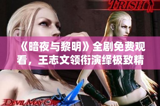 《暗夜与黎明》全剧免费观看，王志文领衔演绎极致精彩