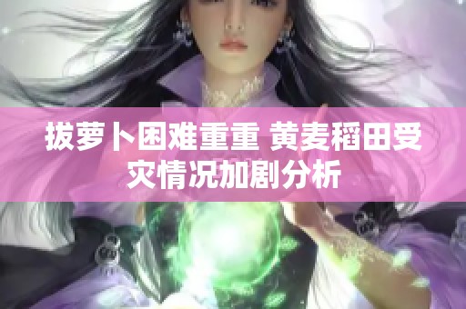 拔萝卜困难重重 黄麦稻田受灾情况加剧分析