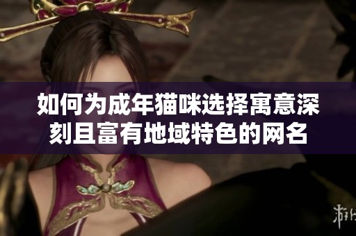 如何为成年猫咪选择寓意深刻且富有地域特色的网名