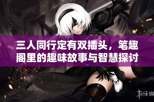三人同行定有双插头，笔趣阁里的趣味故事与智慧探讨