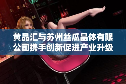 黄品汇与苏州丝瓜晶体有限公司携手创新促进产业升级