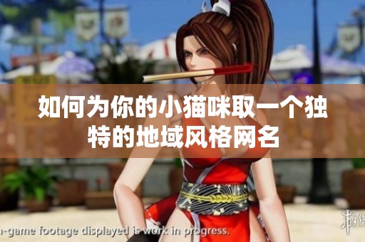 如何为你的小猫咪取一个独特的地域风格网名