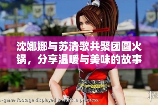 沈娜娜与苏清歌共聚团圆火锅，分享温暖与美味的故事