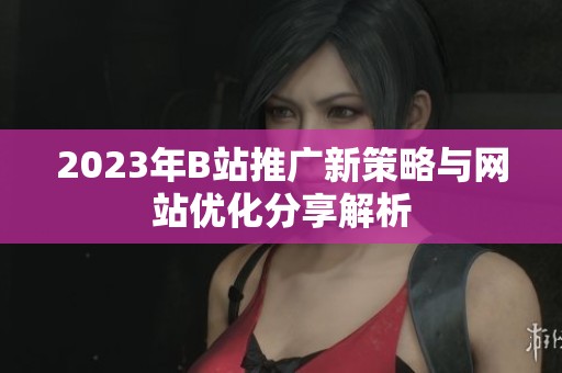 2023年B站推广新策略与网站优化分享解析