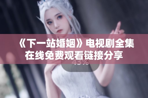 《下一站婚姻》电视剧全集在线免费观看链接分享
