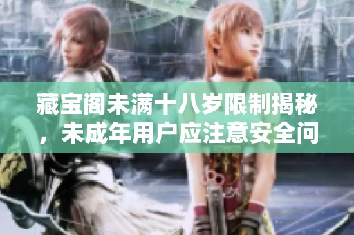 藏宝阁未满十八岁限制揭秘，未成年用户应注意安全问题
