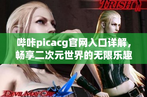 哔咔picacg官网入口详解，畅享二次元世界的无限乐趣