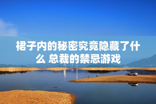 裙子内的秘密究竟隐藏了什么 总裁的禁忌游戏
