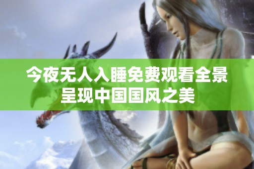 今夜无人入睡免费观看全景呈现中国国风之美