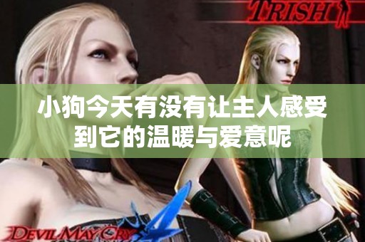 小狗今天有没有让主人感受到它的温暖与爱意呢