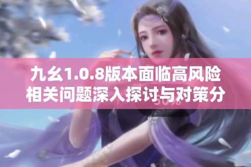九幺1.0.8版本面临高风险相关问题深入探讨与对策分析