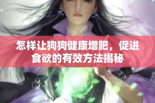 怎样让狗狗健康增肥，促进食欲的有效方法揭秘