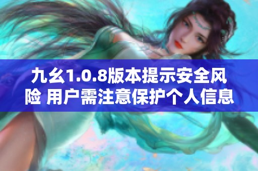 九幺1.0.8版本提示安全风险 用户需注意保护个人信息