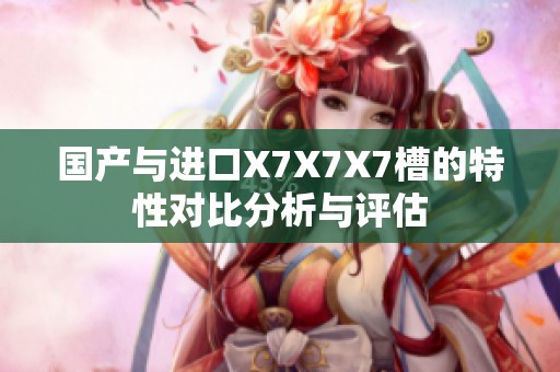 国产与进口X7X7X7槽的特性对比分析与评估