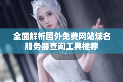 全面解析国外免费网站域名服务器查询工具推荐