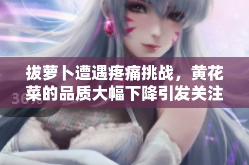拔萝卜遭遇疼痛挑战，黄花菜的品质大幅下降引发关注