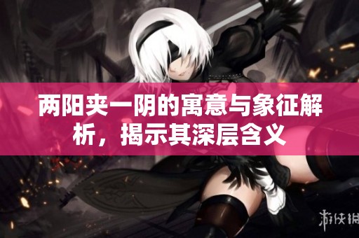 两阳夹一阴的寓意与象征解析，揭示其深层含义