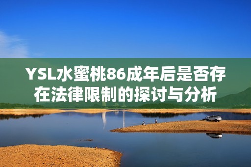 YSL水蜜桃86成年后是否存在法律限制的探讨与分析