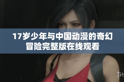 17岁少年与中国动漫的奇幻冒险完整版在线观看