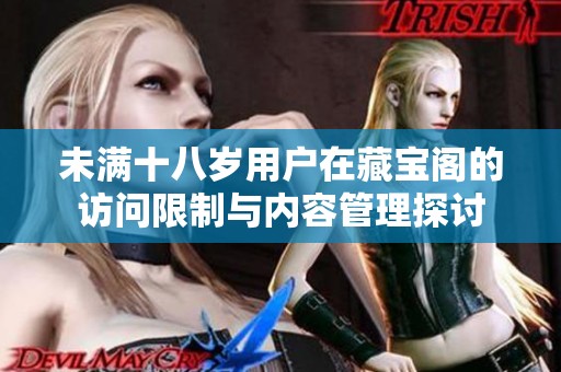 未满十八岁用户在藏宝阁的访问限制与内容管理探讨