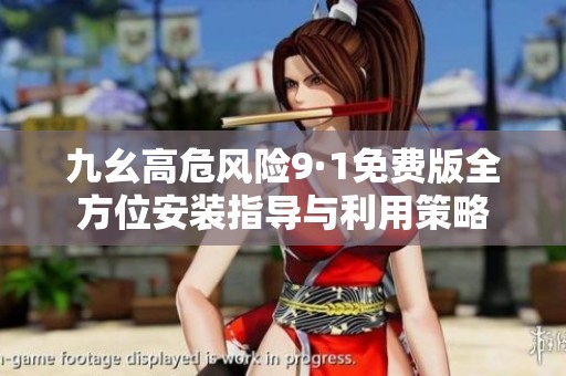 九幺高危风险9·1免费版全方位安装指导与利用策略