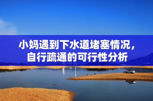 小妈遇到下水道堵塞情况，自行疏通的可行性分析