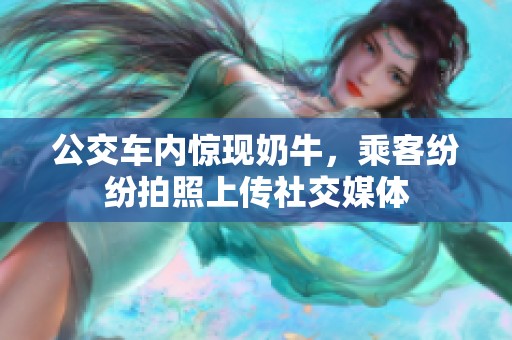 公交车内惊现奶牛，乘客纷纷拍照上传社交媒体