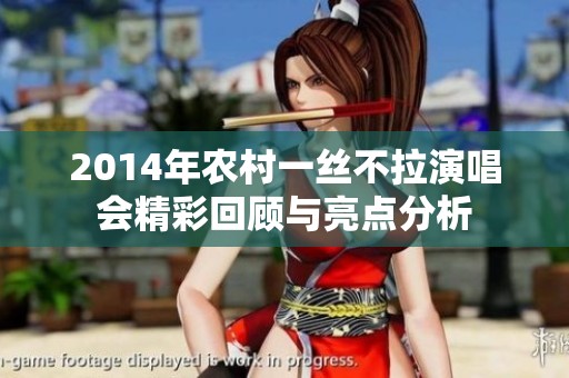 2014年农村一丝不拉演唱会精彩回顾与亮点分析