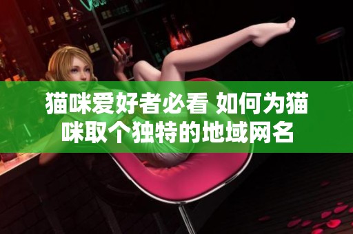 猫咪爱好者必看 如何为猫咪取个独特的地域网名