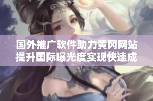 国外推广软件助力黄冈网站提升国际曝光度实现快速成长