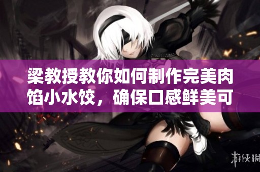 梁教授教你如何制作完美肉馅小水饺，确保口感鲜美可口