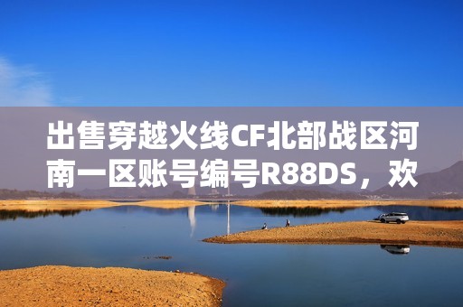 出售穿越火线CF北部战区河南一区账号编号R88DS，欢迎咨询！