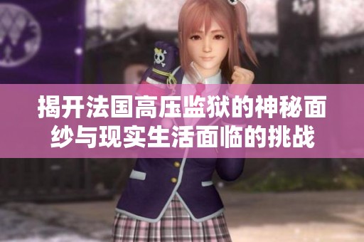 揭开法国高压监狱的神秘面纱与现实生活面临的挑战