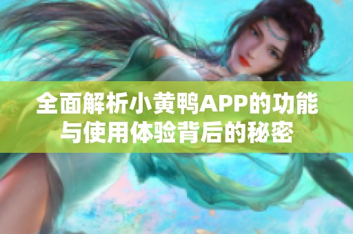 全面解析小黄鸭APP的功能与使用体验背后的秘密