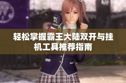 轻松掌握霸王大陆双开与挂机工具推荐指南