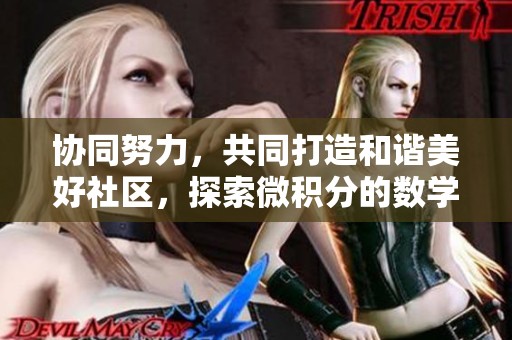 协同努力，共同打造和谐美好社区，探索微积分的数学边界